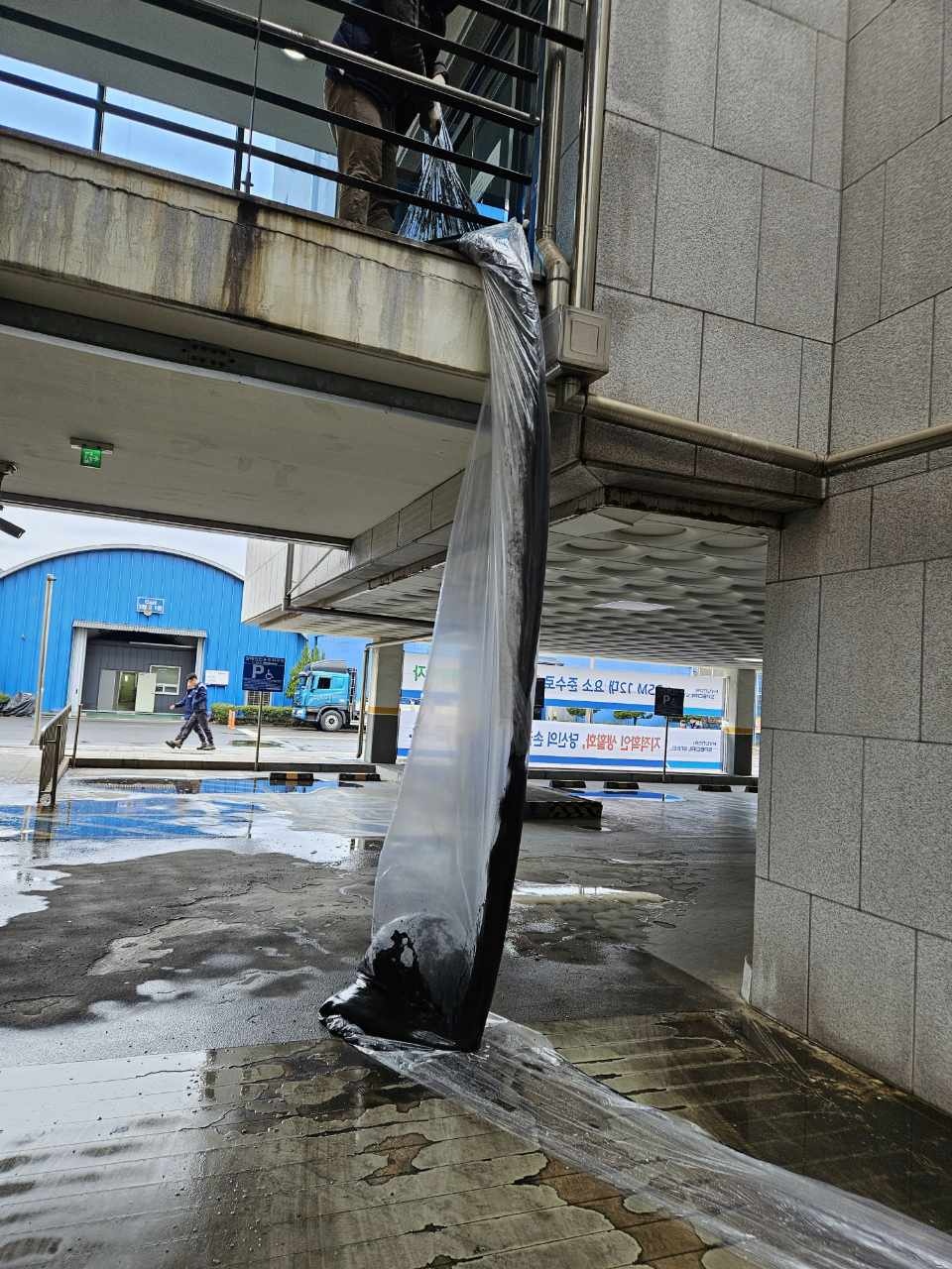 갤러리 사진